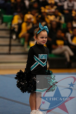 Chicago Star-331