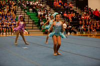 Chicago Star-1136
