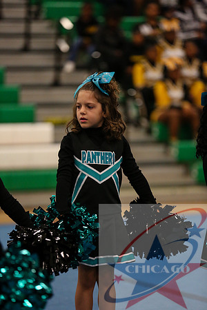 Chicago Star-65