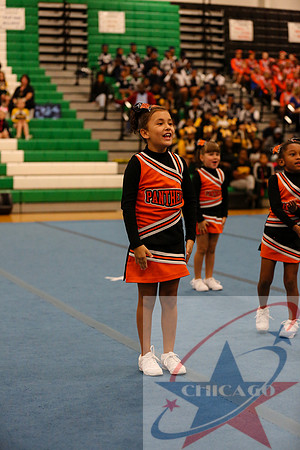 Chicago Star-586