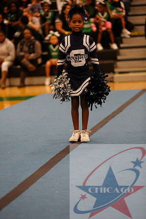Chicago Star-385