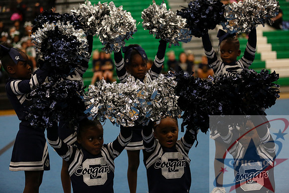 Chicago Star-409