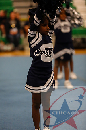Chicago Star-391