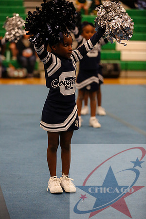 Chicago Star-392