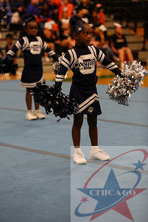 Chicago Star-389