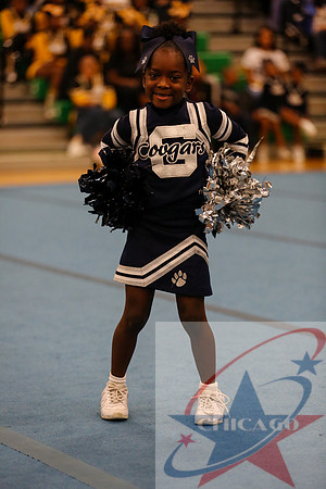 Chicago Star-383