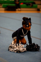 Chicago Star-20