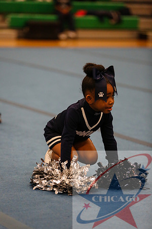 Chicago Star-20