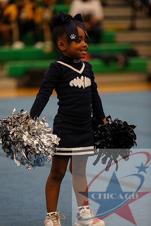 Chicago Star-25