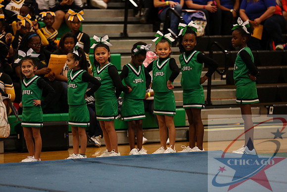 Chicago Star-108