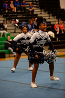 Chicago Star-1254