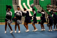 Chicago Star-1263