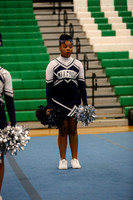 Chicago Star-1253