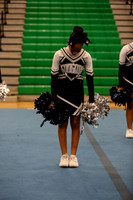 Chicago Star-1252