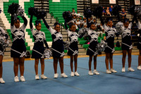 Chicago Star-1267